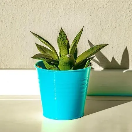 Shiny And Relaxing 5th Floor Apartman *