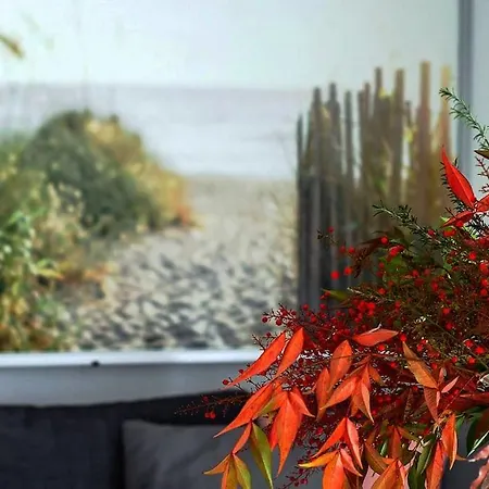 Shiny And Relaxing 5th Floor