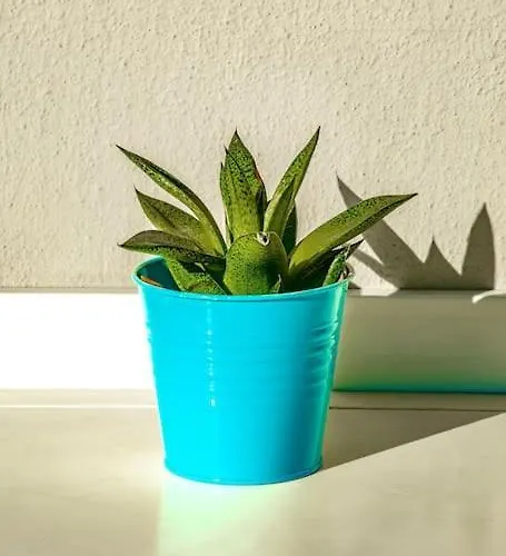 Shiny And Relaxing 5th Floor Apartamento *